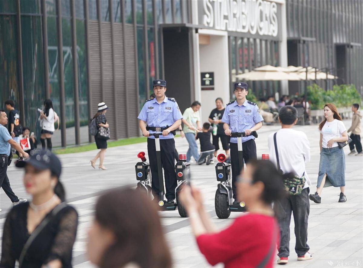 c8会员登录中心